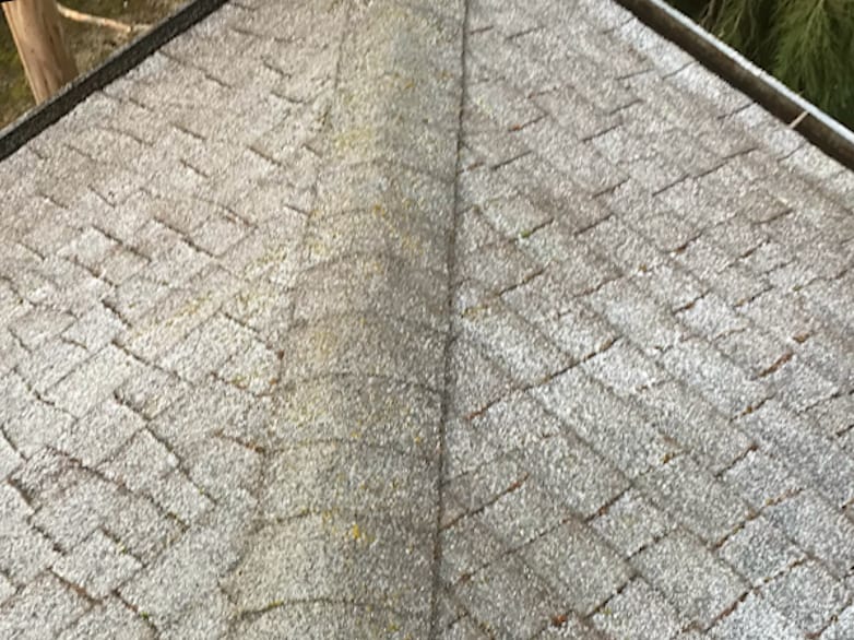 Brier Roof Cleaning and Moss Removal Before and After