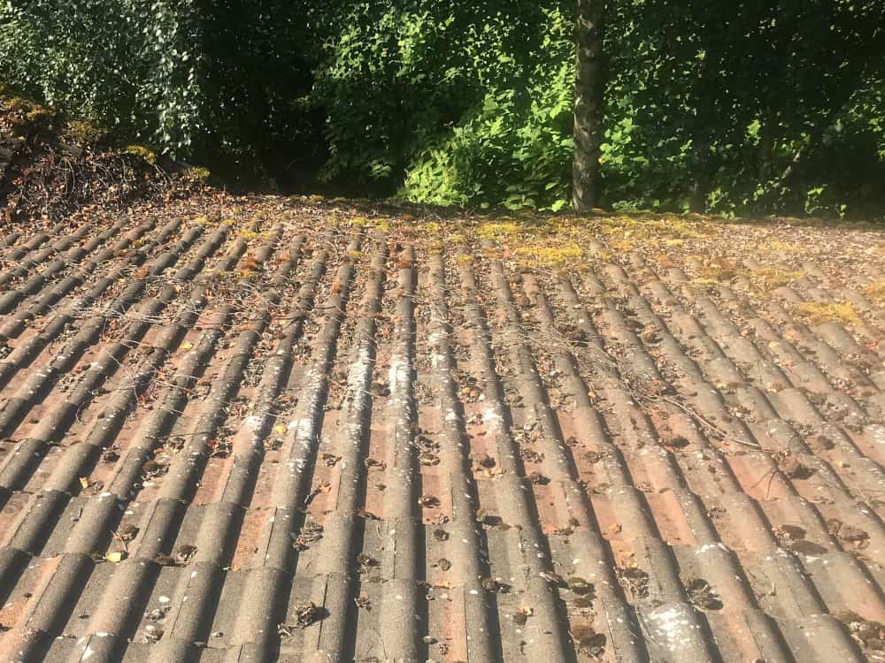Ballard Roof Cleaning and Moss Removal Before and After