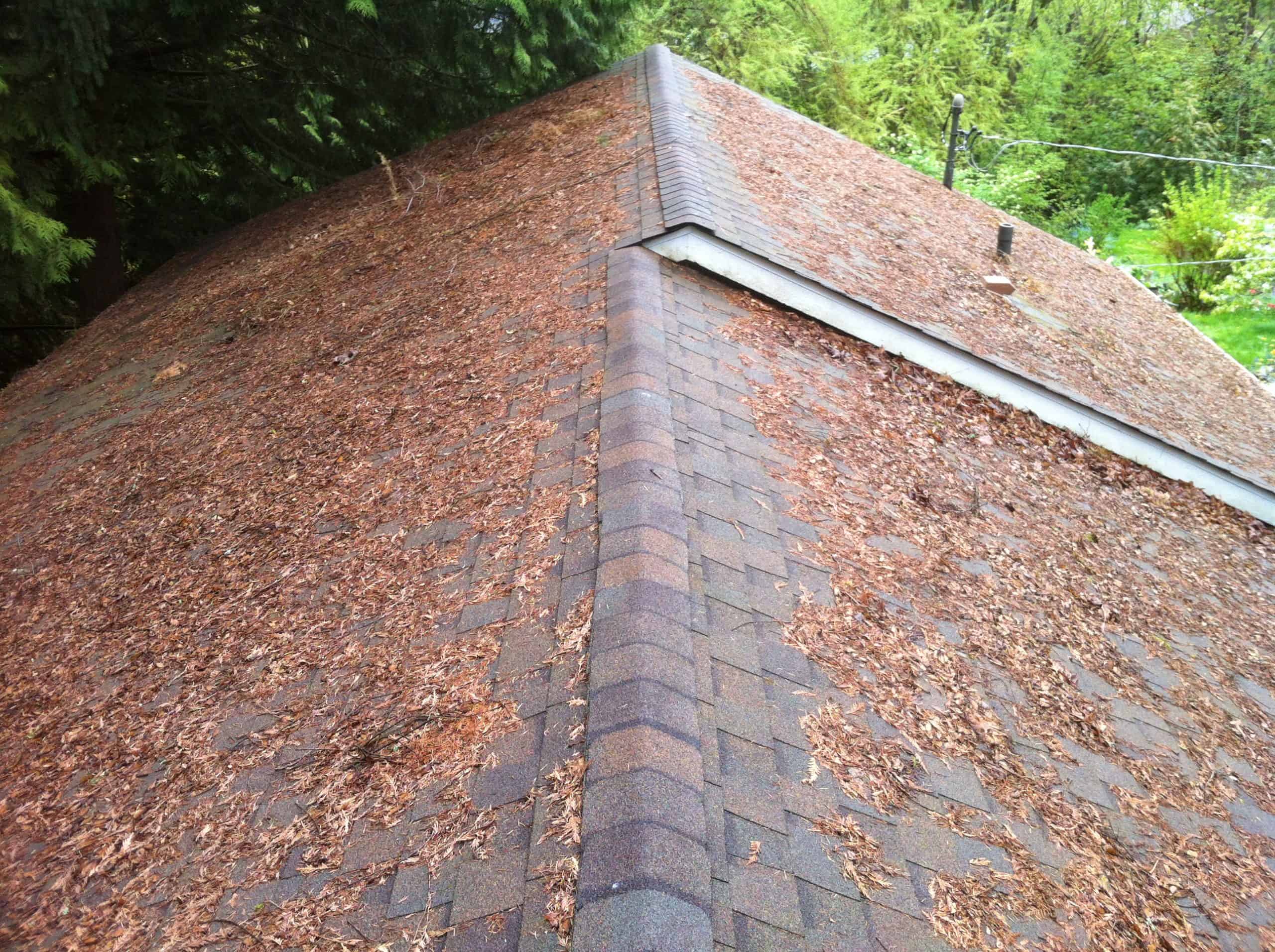 Beaverton Roof Cleaning and Moss Removal Before and After