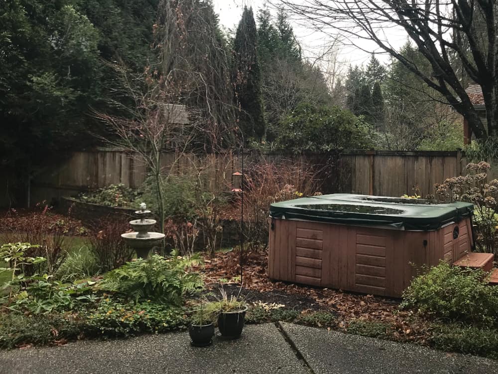 Bellevue Window Cleaning Service Before and After