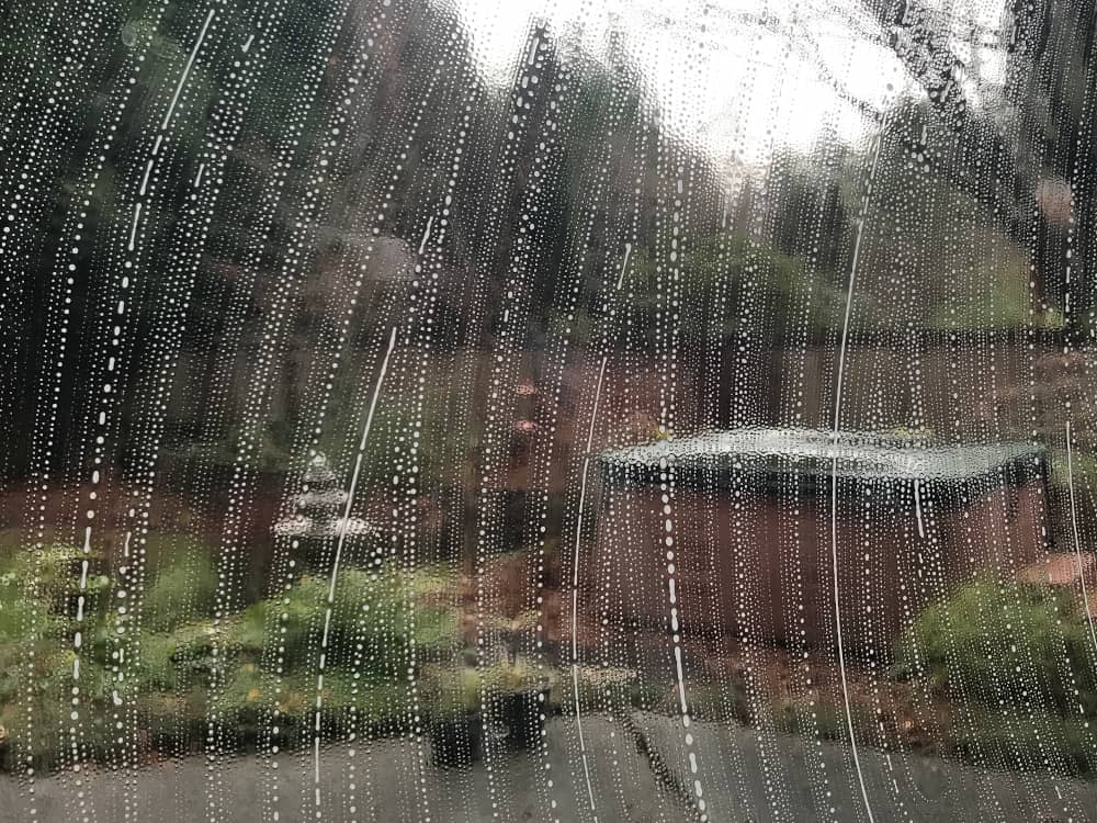 Bellevue Window Cleaning Service Before and After