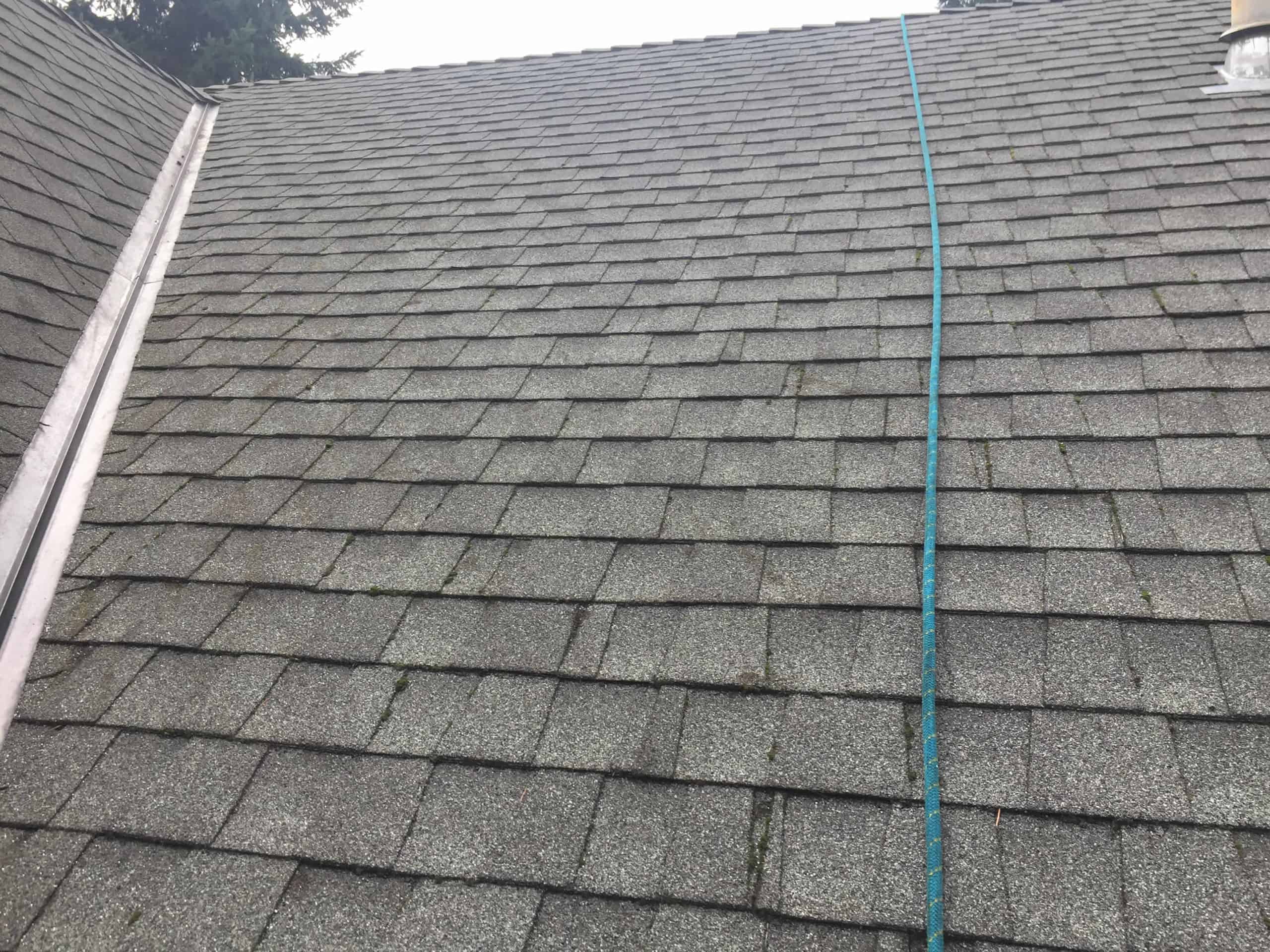 Bellevue Roof Cleaning and Moss Removal Before and After