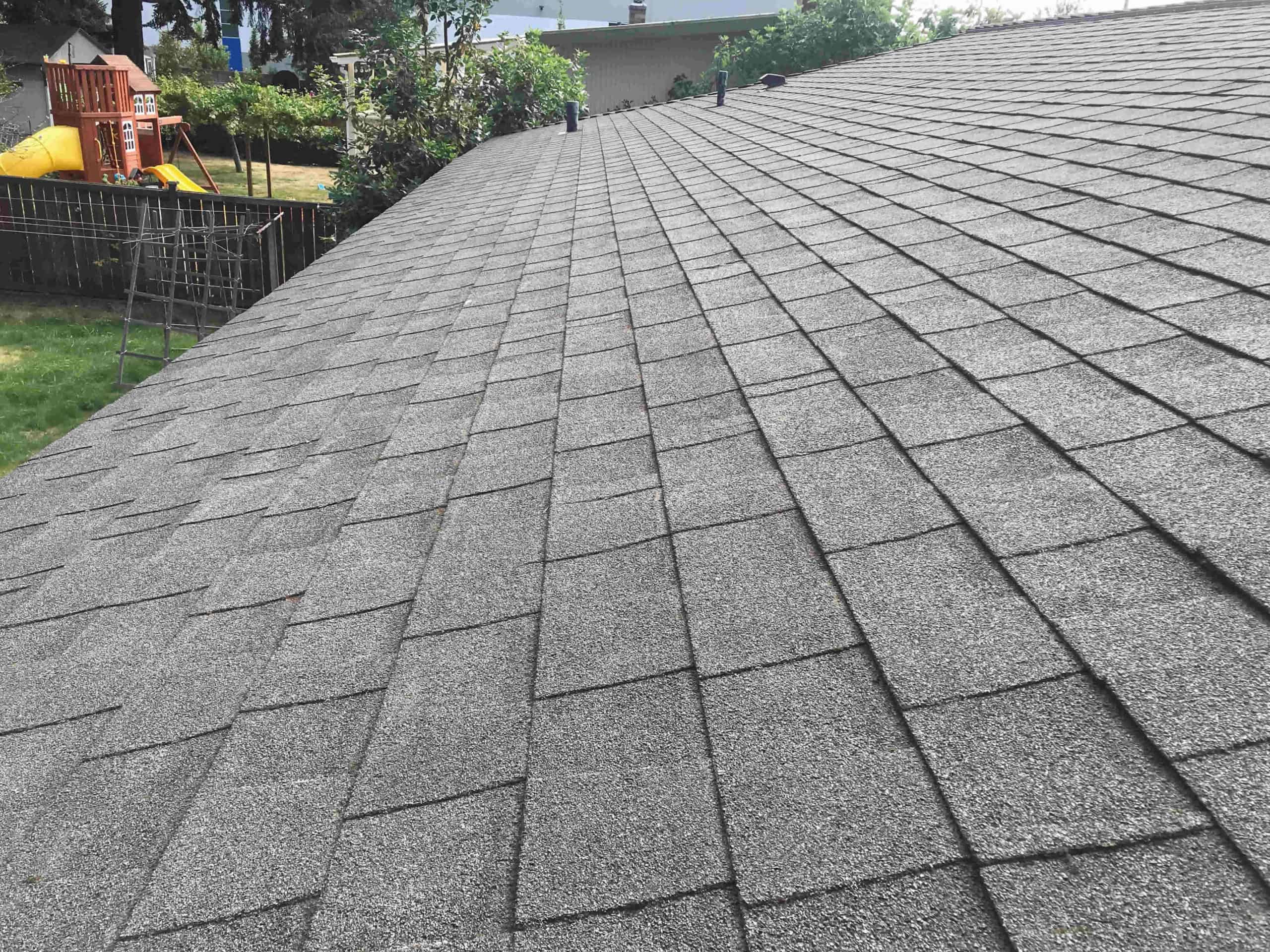 Bothell Roof Cleaning and Moss Removal Before and After