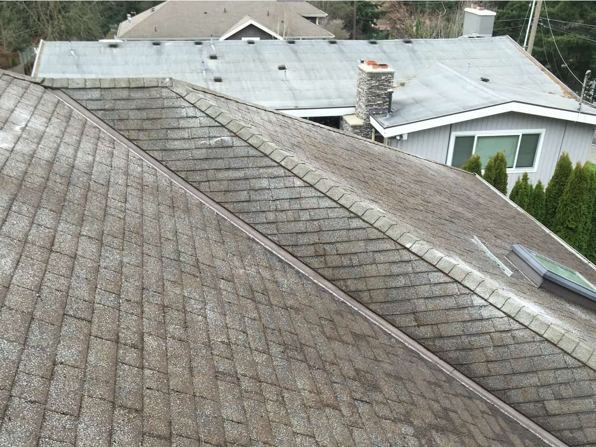 Clackamas Roof Cleaning and Moss Removal Before and After Photos