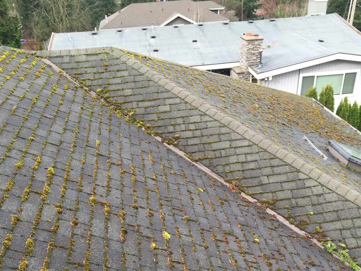 Clackamas Roof Cleaning and Moss Removal Before and After Photos
