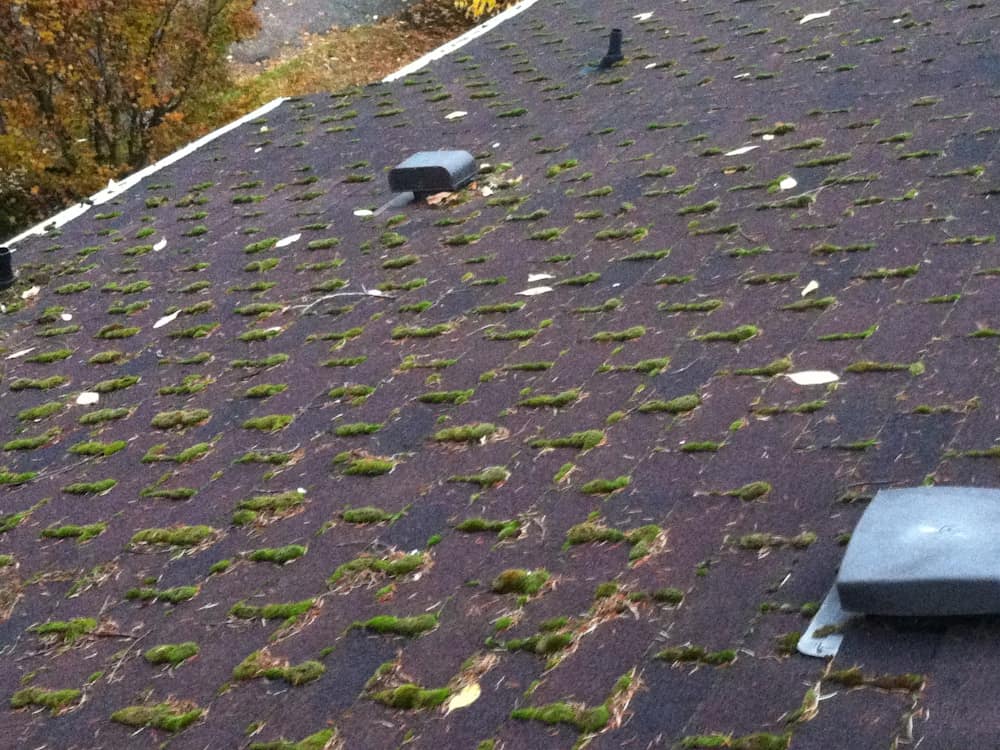 Durham Roof Cleaning and Moss Removal Before and After