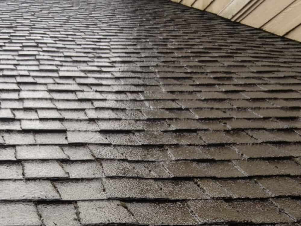 Edmonds Roof Cleaning and Moss Removal Before and After