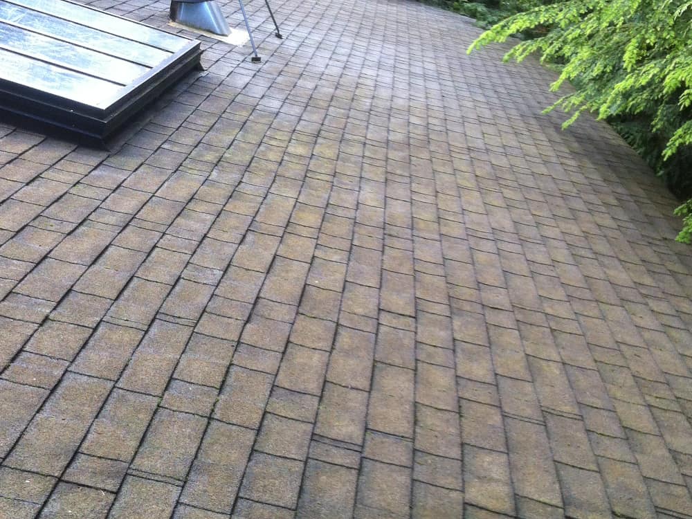 Fairview Roof Cleaning and Moss Removal Before and After