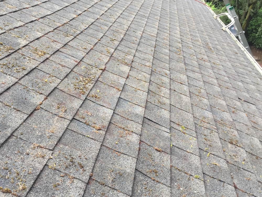 Gig Harbor Roof Cleaning and Moss Removal Before and After