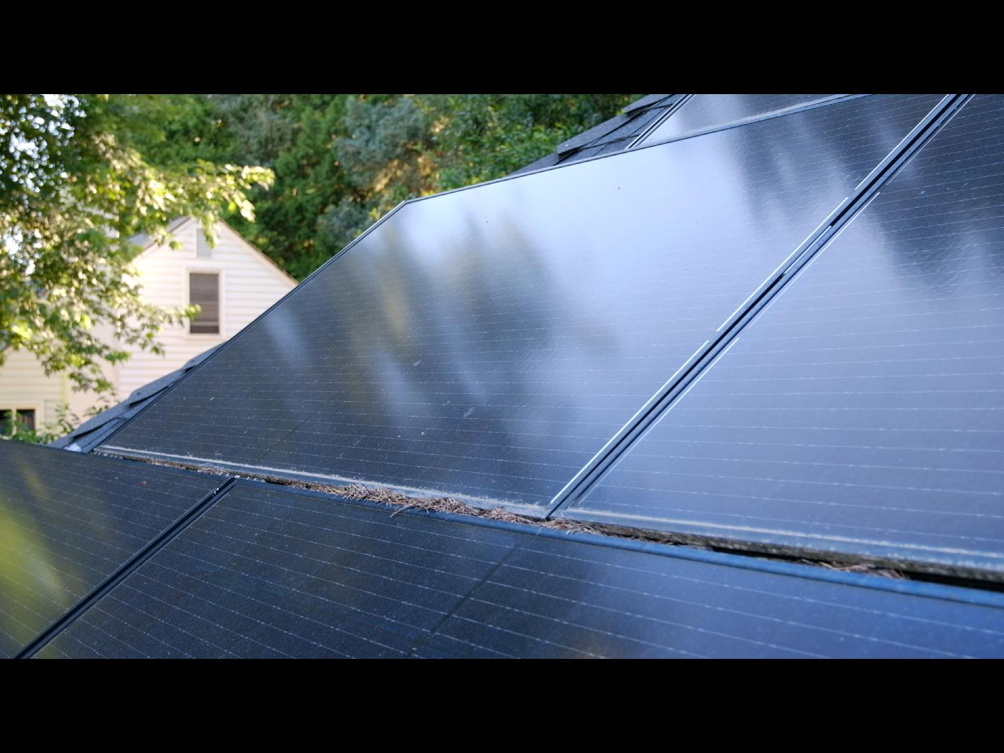 Issaquah Solar Panel Cleaning Service Before and After Photos