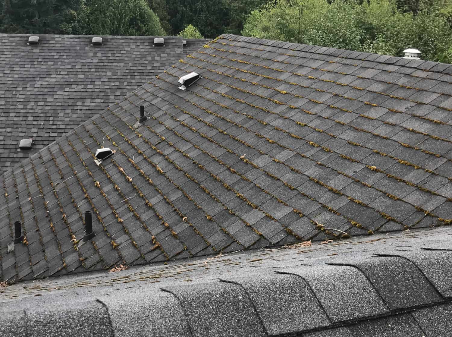 Lynnwood Roof Cleaning and Moss Removal Before and After