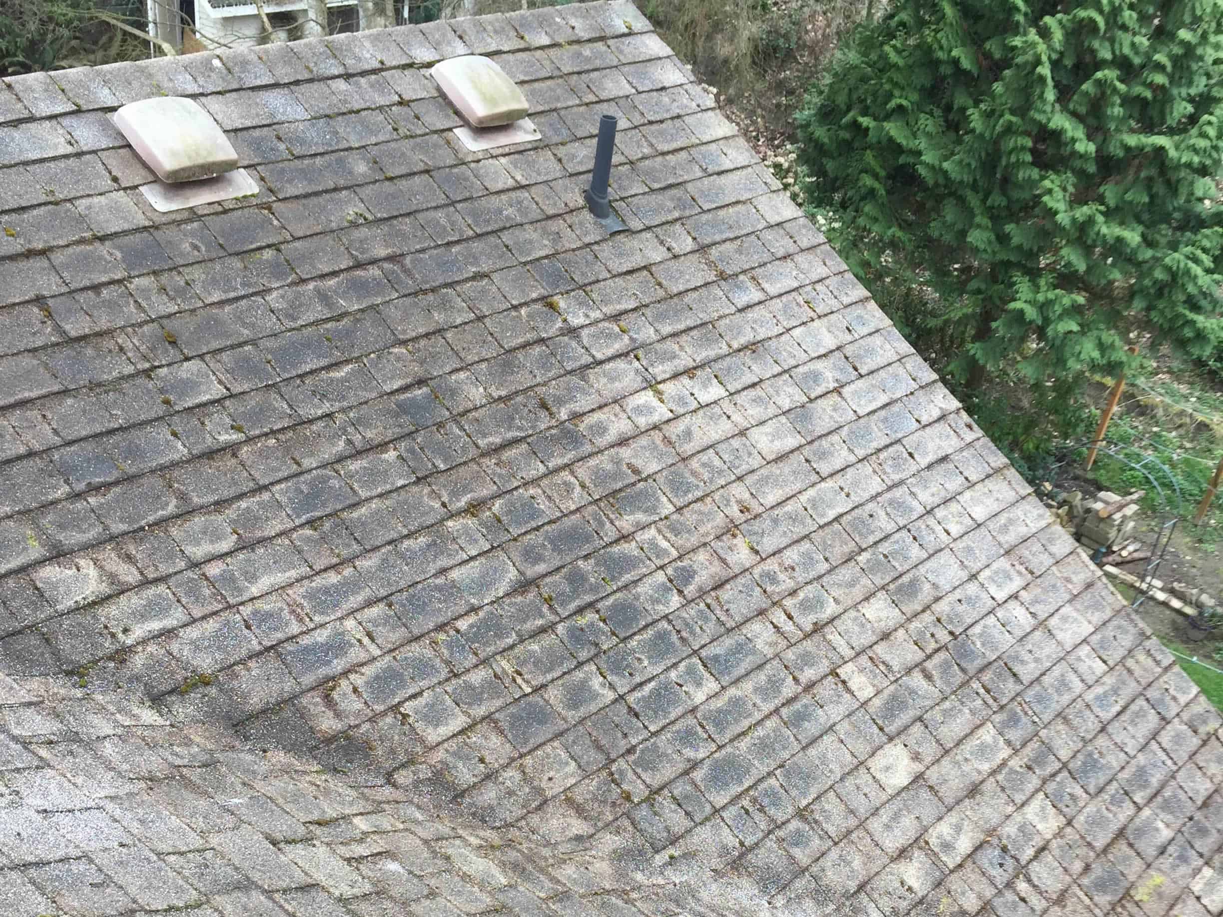 Magnolia Roof Cleaning and Moss Removal Before and After
