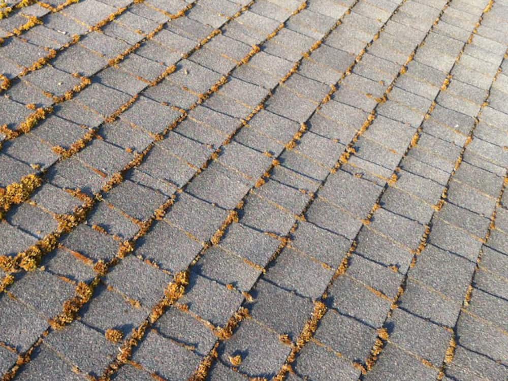 Marysville Roof Cleaning and Moss Removal Before and After