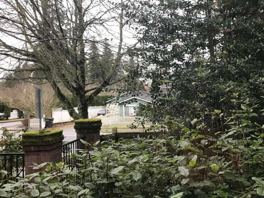 Mercer Island Window Cleaning Service Before and After