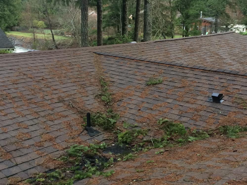 Mill Creek Roof Cleaning and Moss Removal Before and After