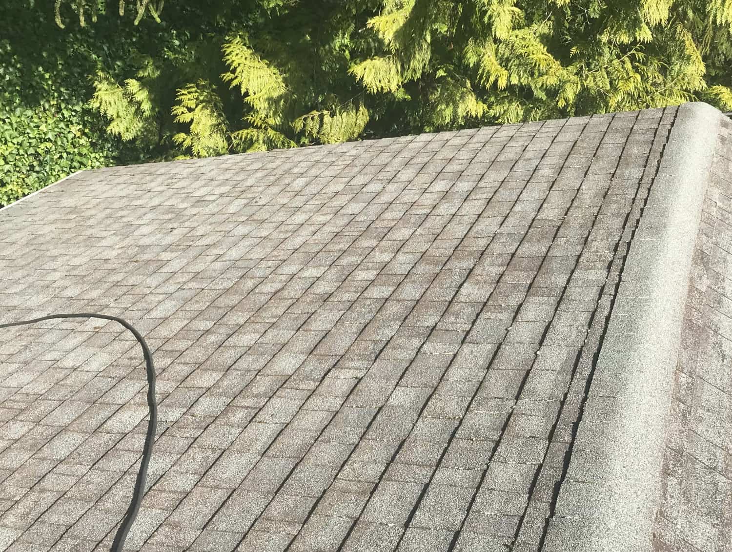 Milwaukie Roof Cleaning and Moss Removal Before and After