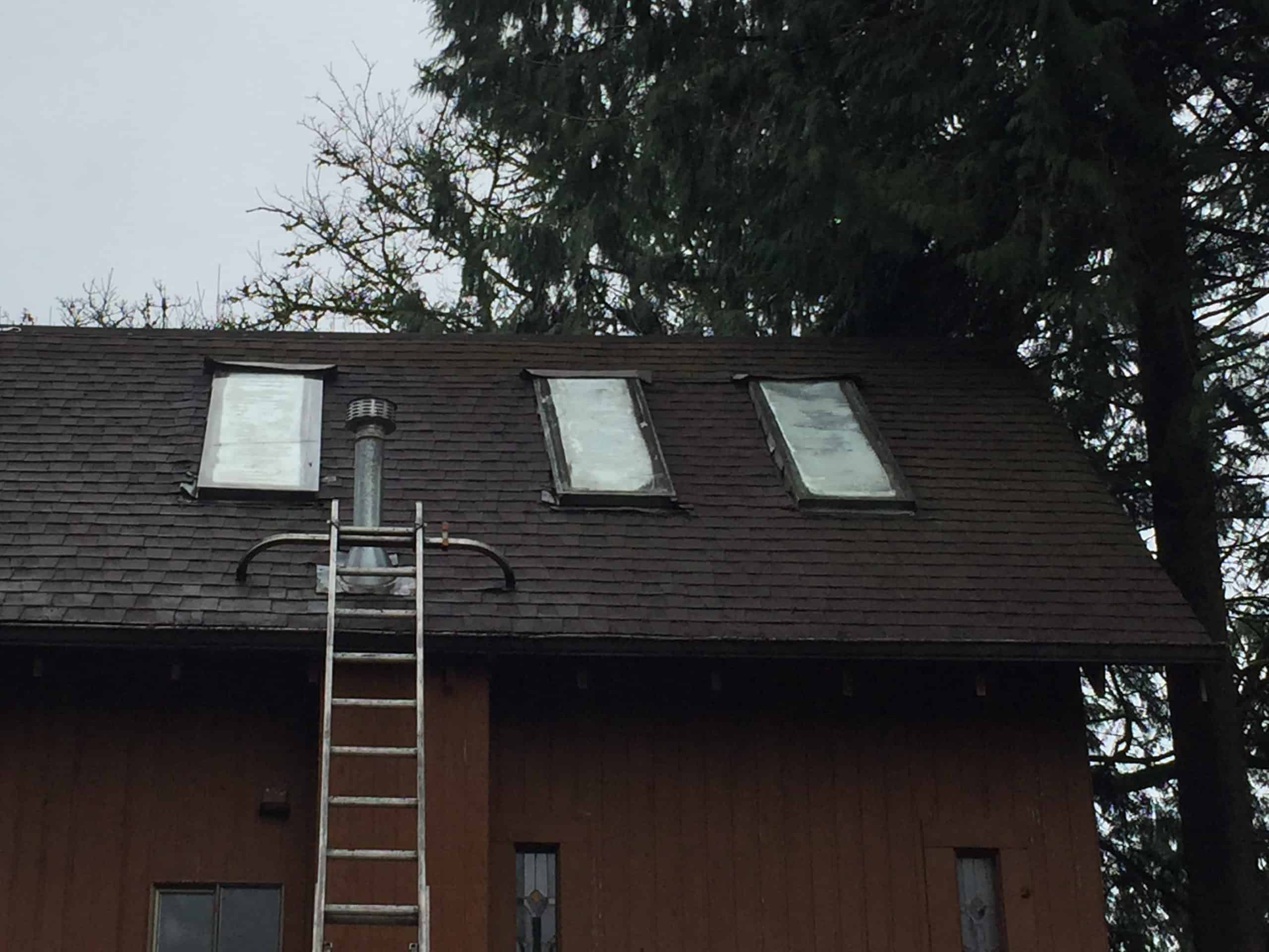 Monroe Roof Cleaning and Moss Removal Before and After