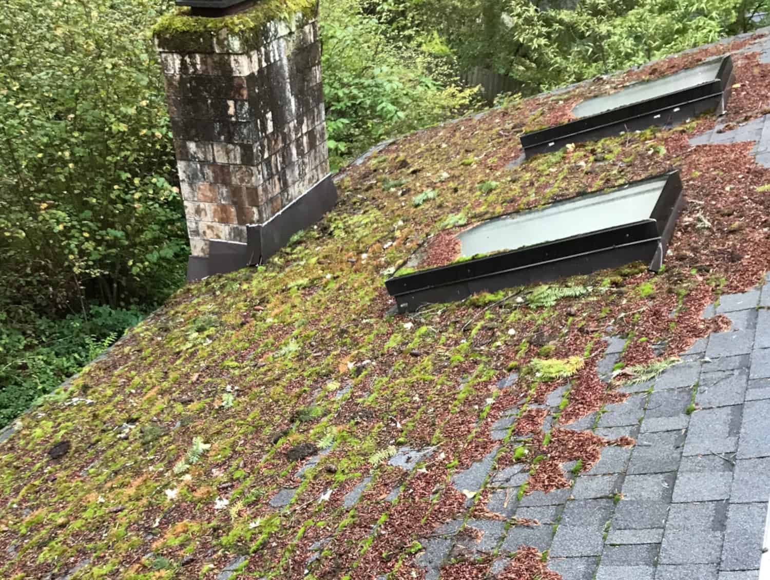 Newcastle Roof Cleaning and Moss Removal Before and After
