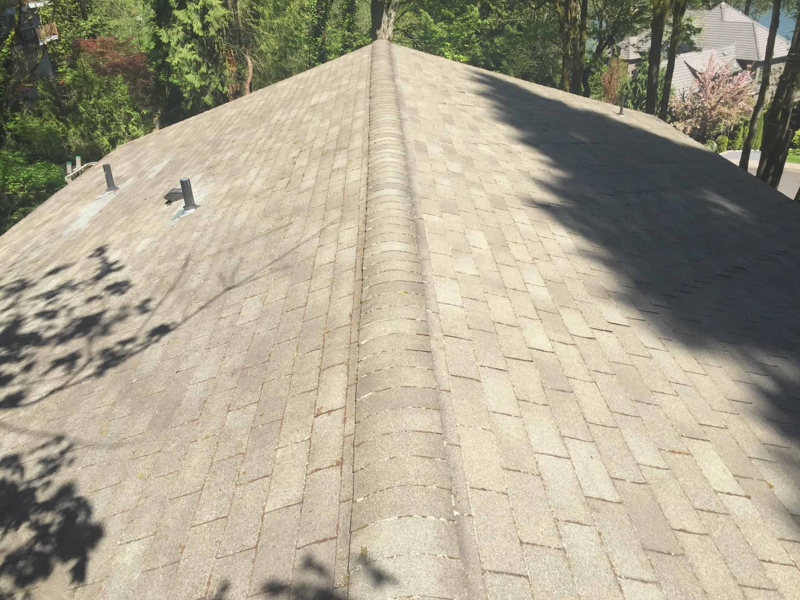 Oregon City Roof Cleaning and Moss Removal Before and After
