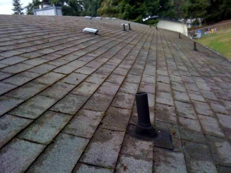 Portland Roof Cleaning and Moss Removal Before and After