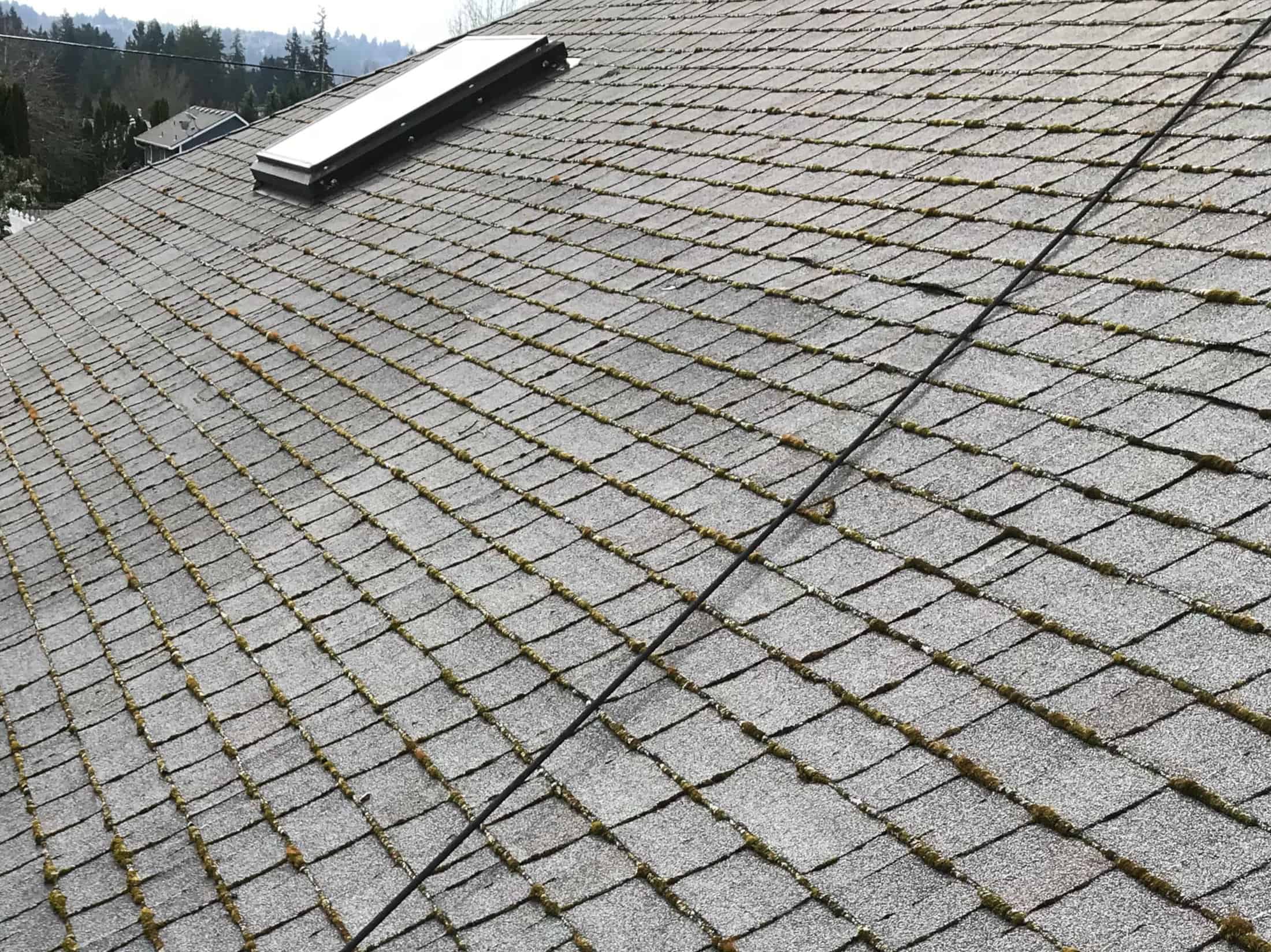 Renton Roof Cleaning and Moss Removal Before and After
