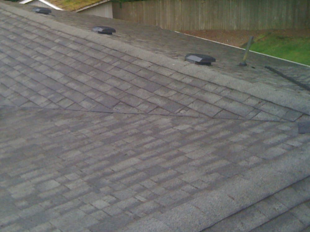 Lake Oswego Roof Cleaning and Moss Removal Before and After