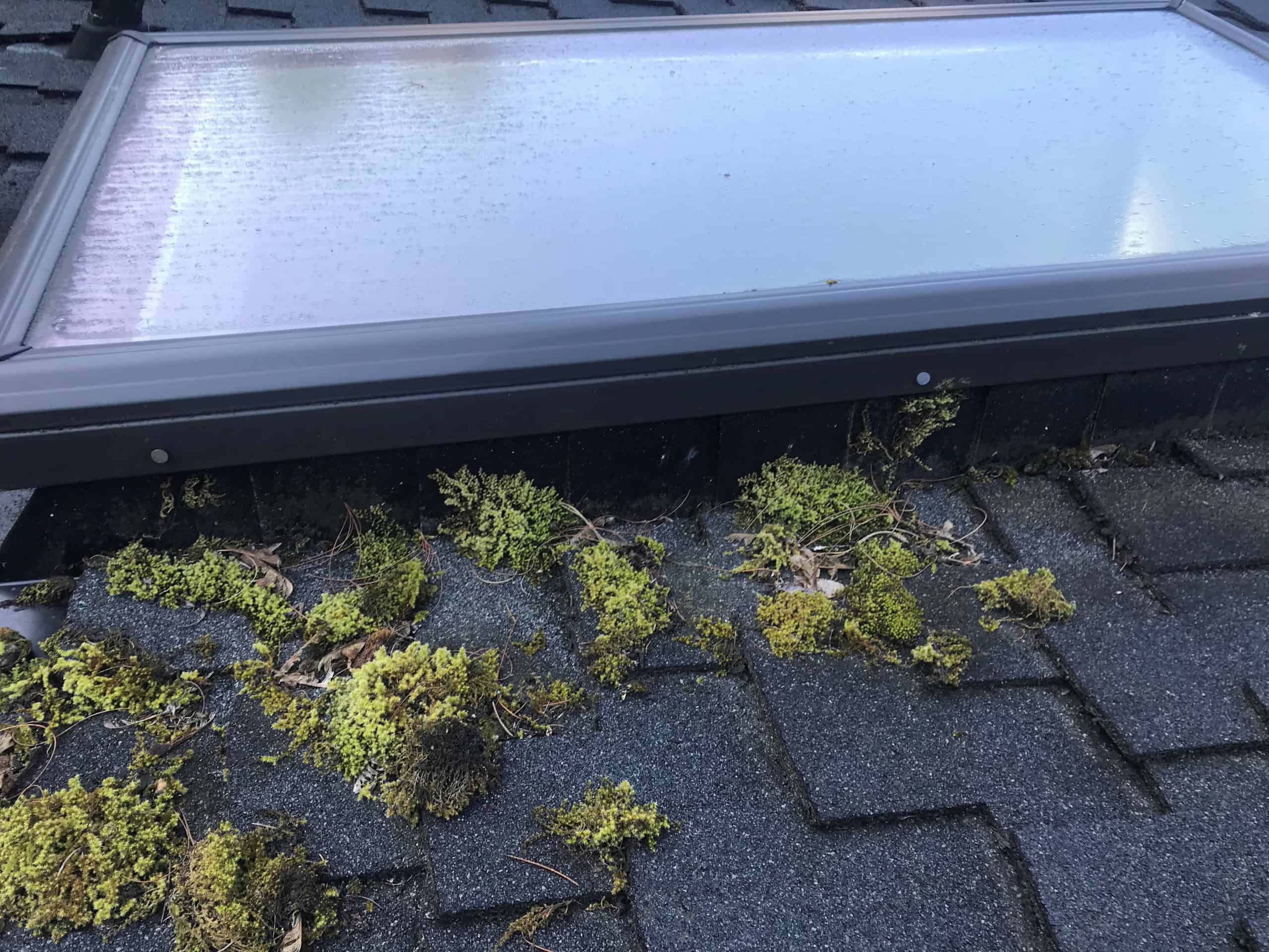 Sammamish Roof Cleaning and Moss Removal Before and After