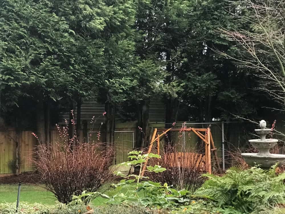 Seattle Window Cleaning Service Before and After