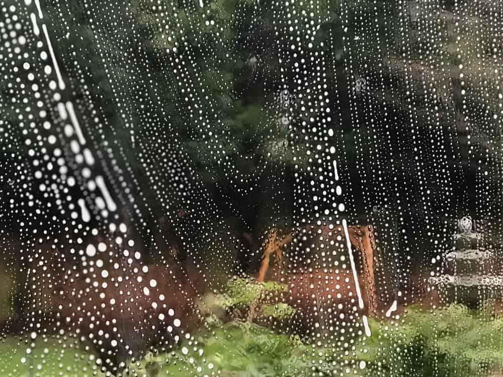 Seattle Window Cleaning Service Before and After