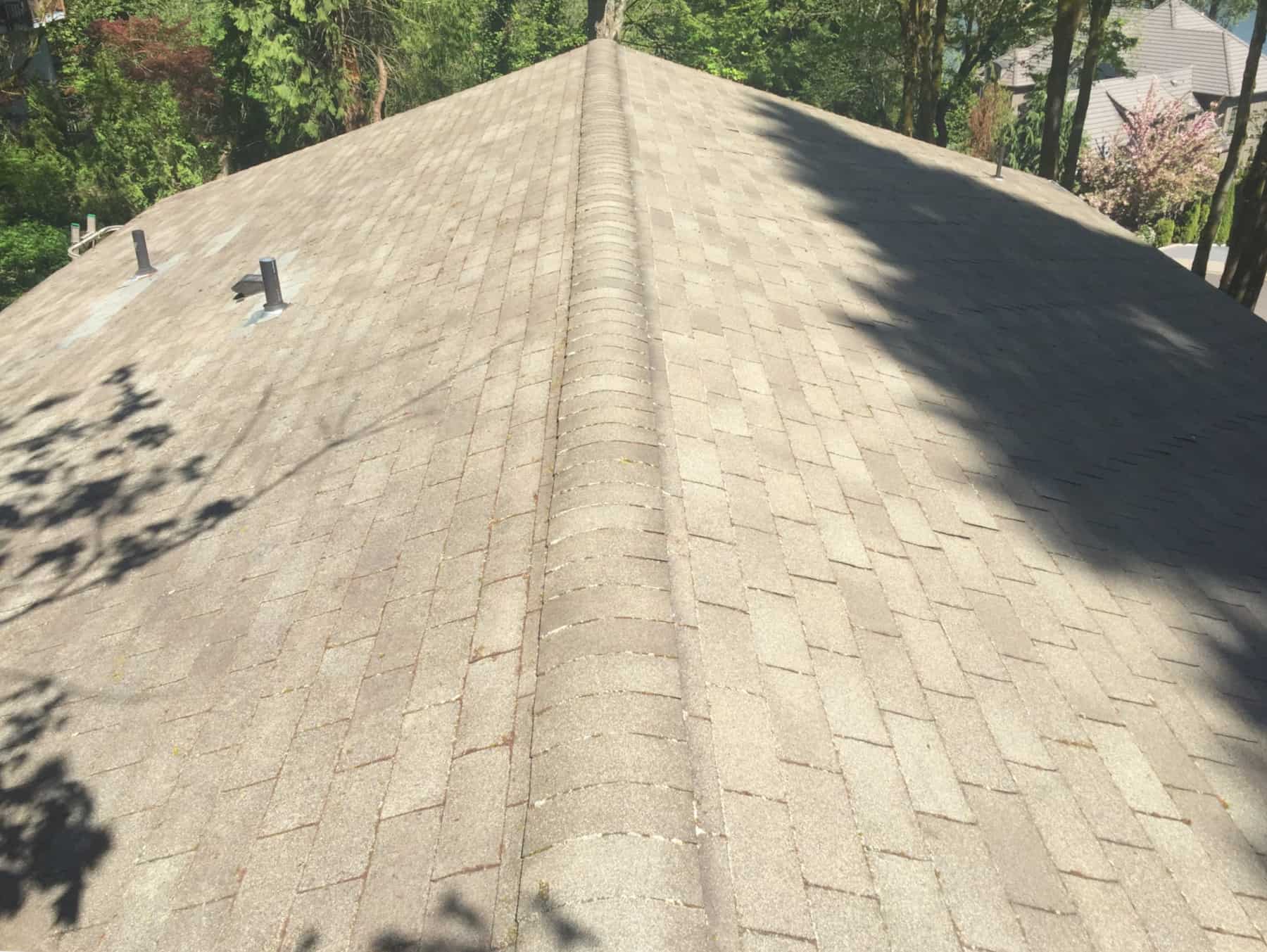 Sherwood Roof Cleaning and Moss Removal Before and After