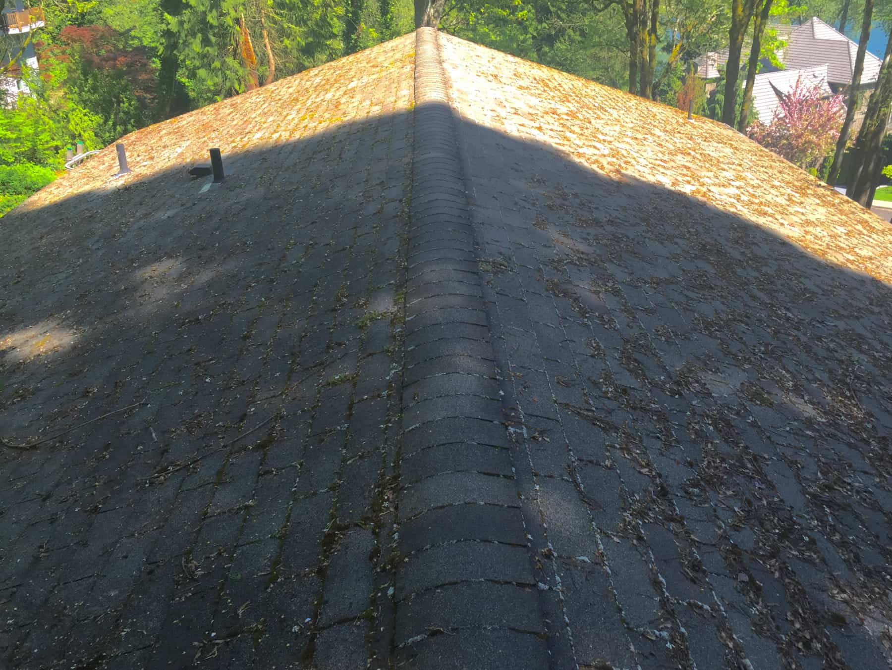 Sherwood Roof Cleaning and Moss Removal Before and After
