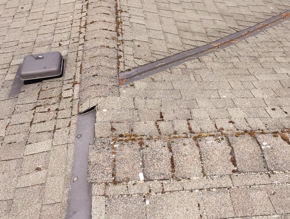 Shoreline Roof Cleaning and Moss Removal Before and After