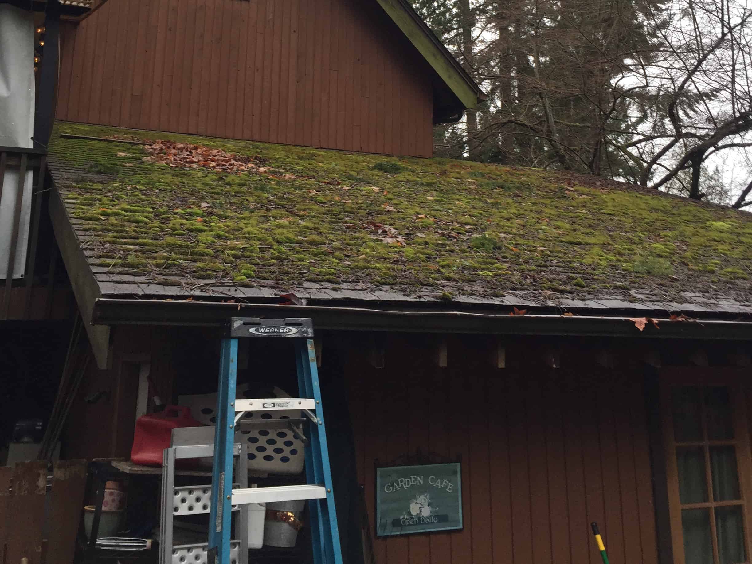 Snohomish Roof Cleaning and Moss Removal Before and After