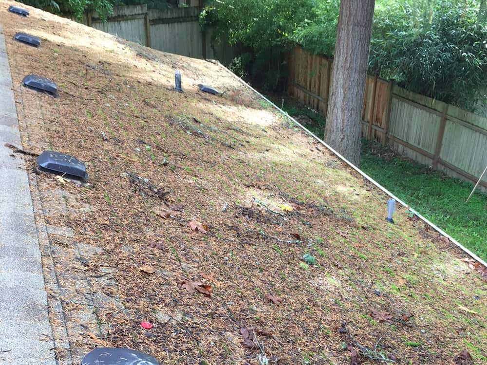 Tualatin Roof Cleaning and Moss Removal Before and After
