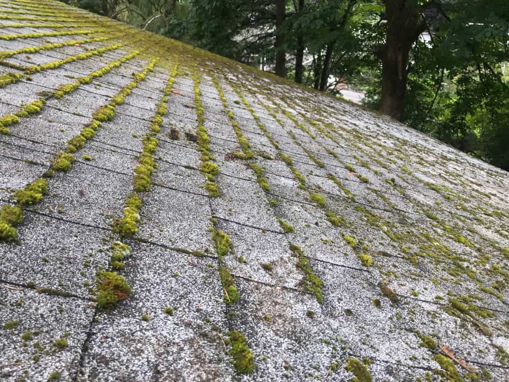 Tukwila Roof Cleaning and Moss Removal Before and After