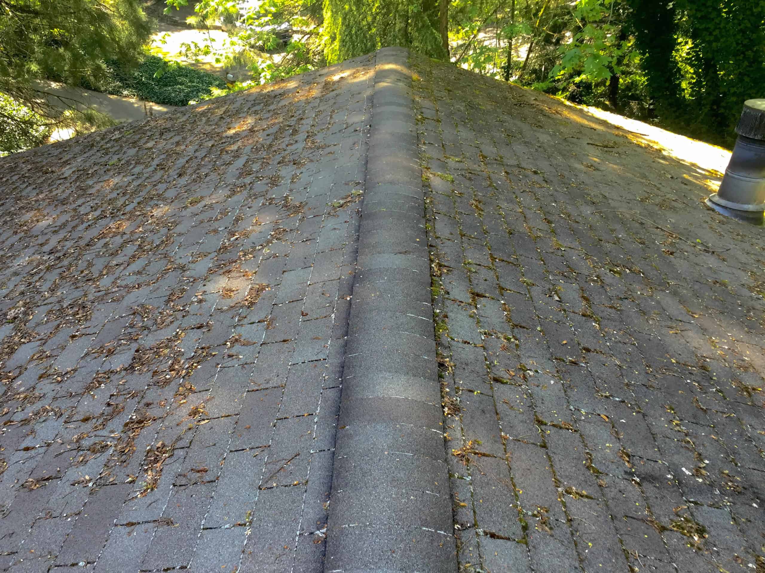 West Linn Roof Cleaning and Moss Removal Before and After