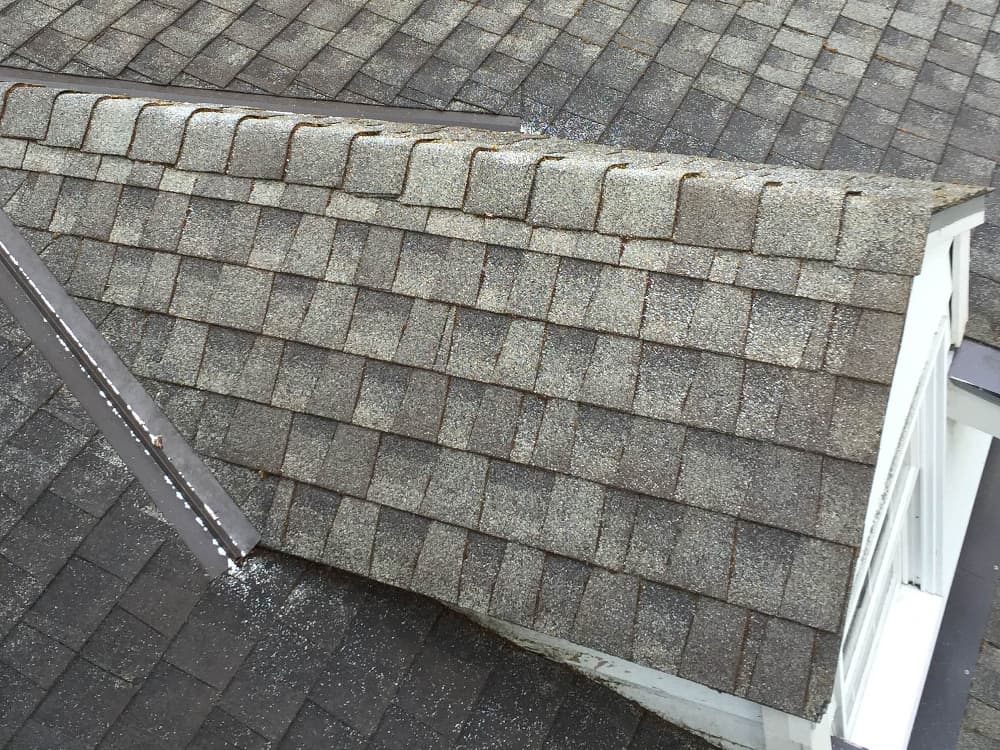 Cascade Park Roof Cleaning and Moss Removal Before and After