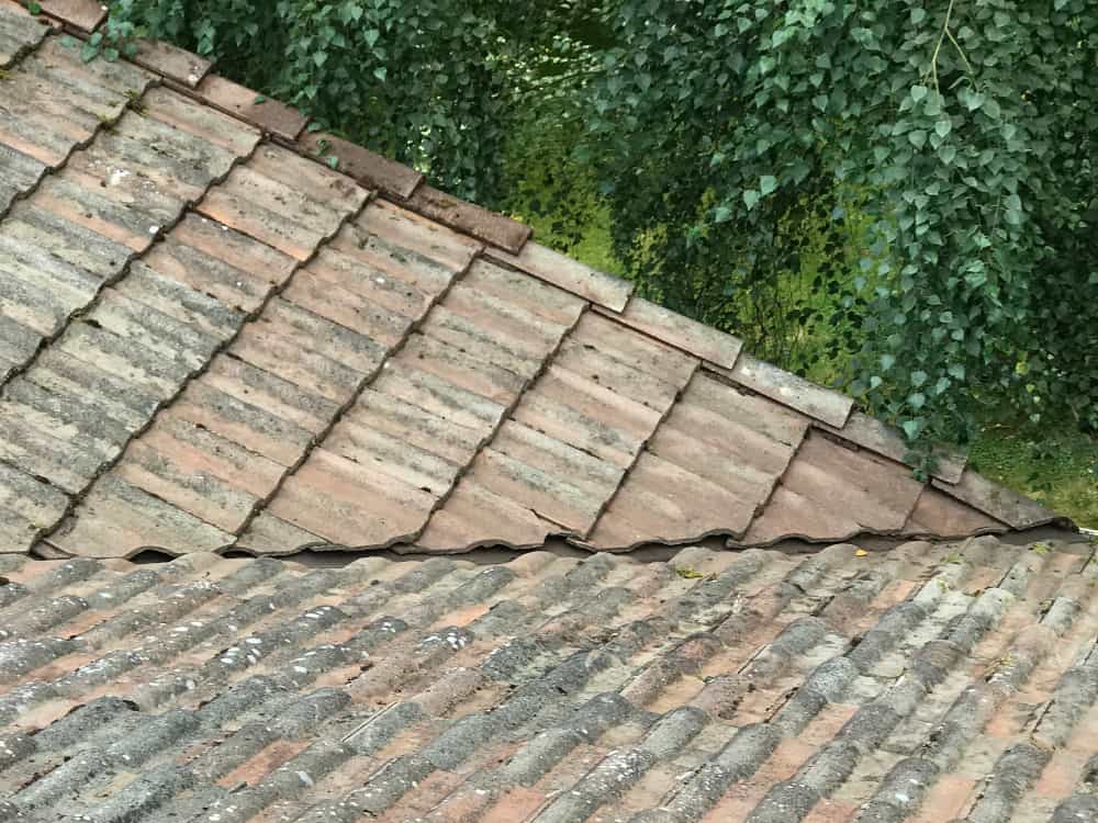 Damascus Roof Cleaning and Moss Removal Before and After