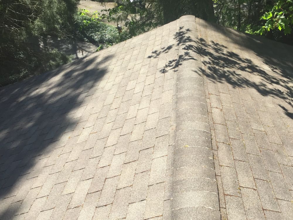 Hillsboro Roof Cleaning and Moss Removal Before and After Photos