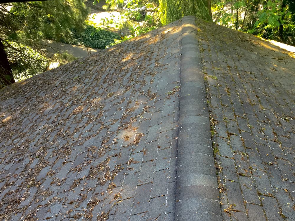 Hillsboro Roof Cleaning and Moss Removal Before and After Photos