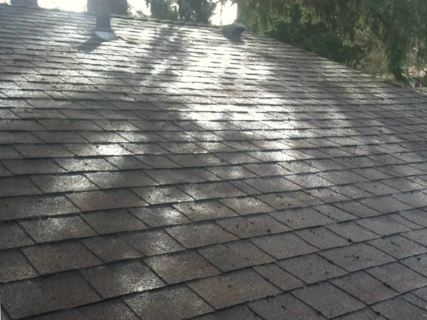 Kirkland Roof Cleaning and Moss Removal Before and After