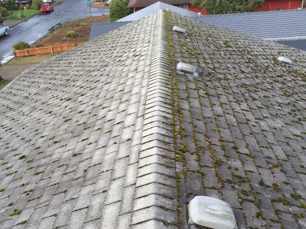 Lake Stevens Roof Cleaning and Moss Removal Before and After