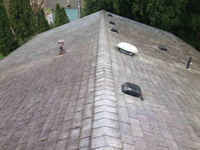 Woodway Roof Cleaning and Moss Removal Before and After