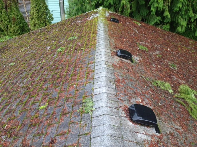 Woodway Roof Cleaning and Moss Removal Before and After