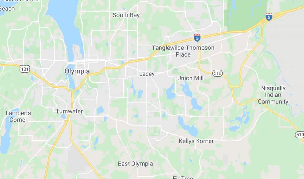 Thurston service area map