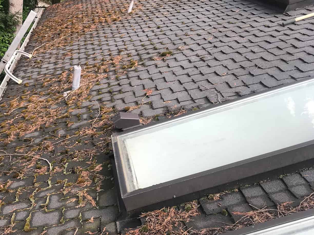 Vancouver Roof Cleaning and Moss Removal Before and After Photo