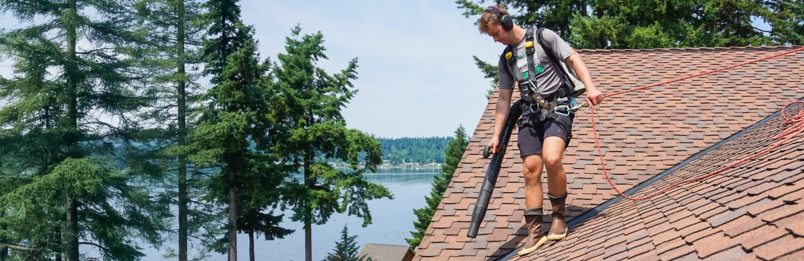 technician blowing pine needles off of roof